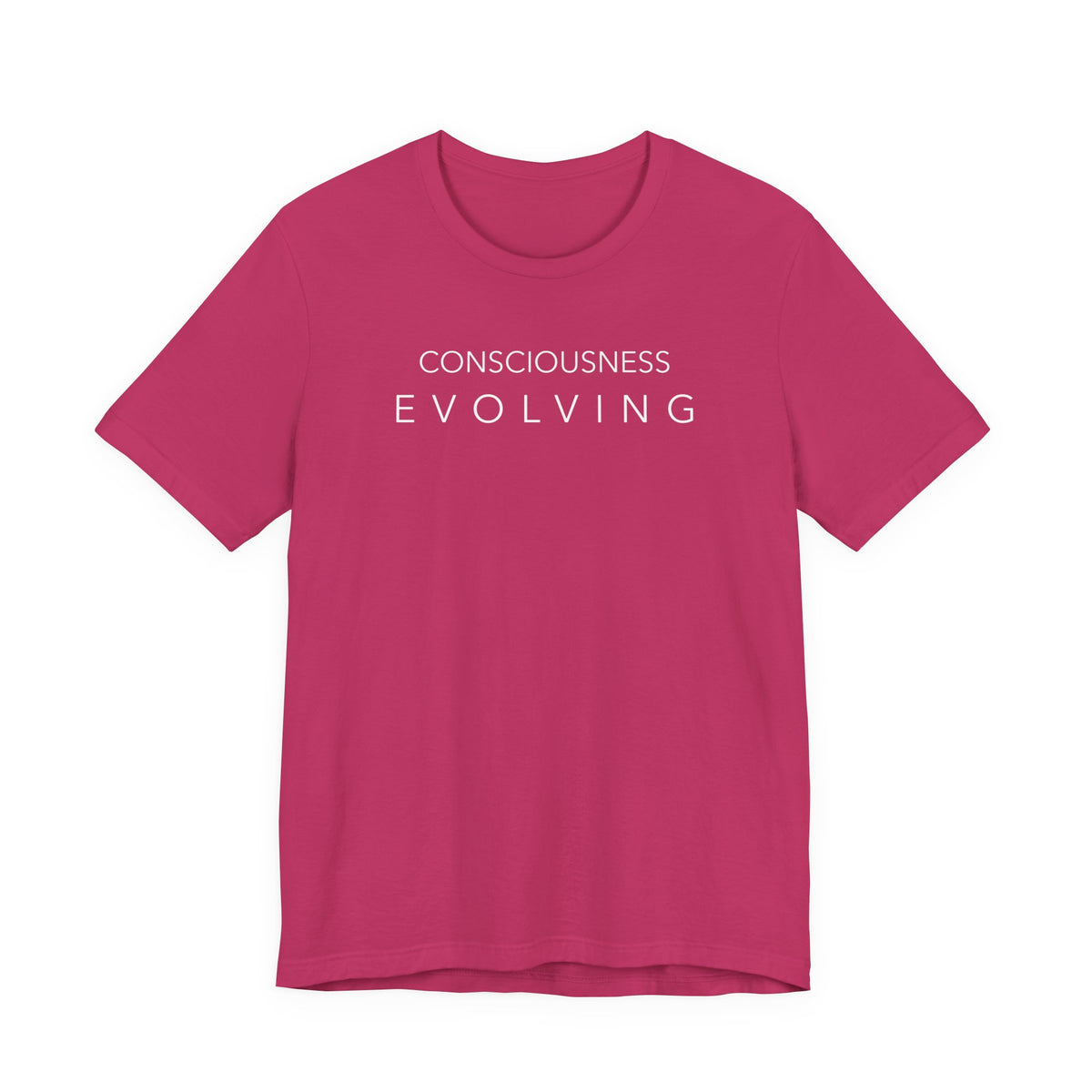 Consciousness Evolving T-Shirt